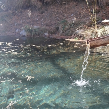 Teich mit klarem Wasser