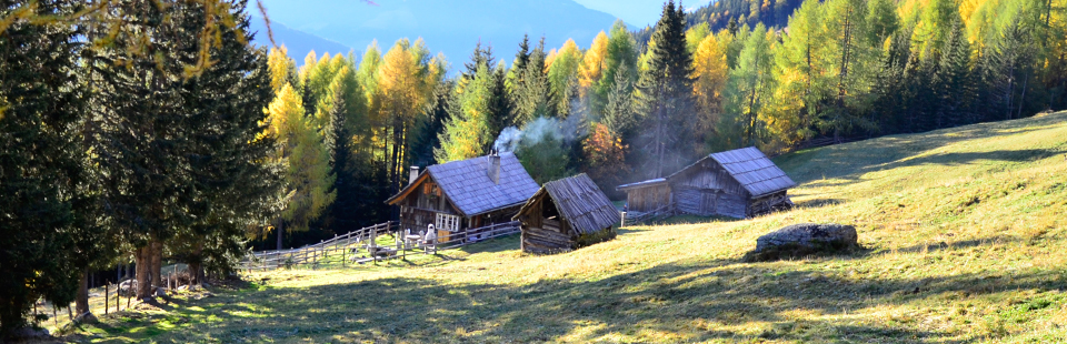 Hütte am Waldrand